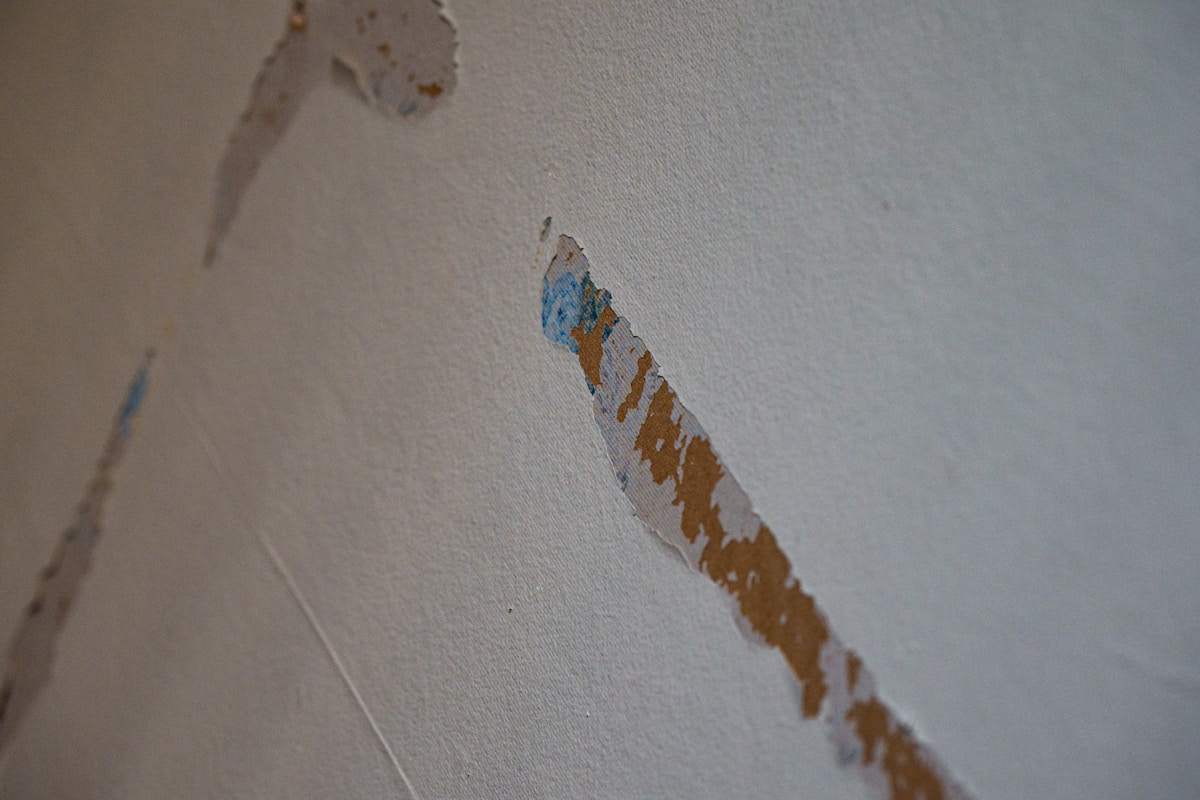 Structural Drying service in Cape Coral, FL