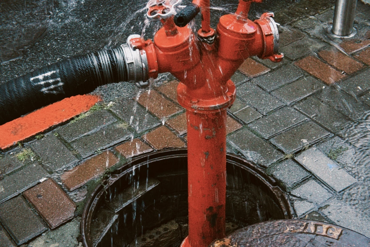 Basement Water Removal service in Cape Coral, FL